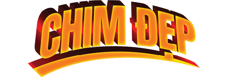 Chimdep.net – Cộng đồng chim cảnh Việt Nam